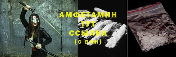 мдпв Карпинск