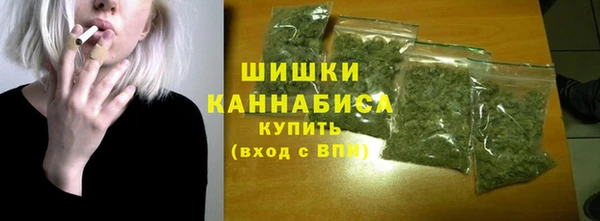 мдпв Карпинск