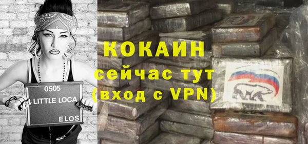сатива Касимов
