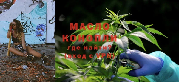 мдпв Карпинск