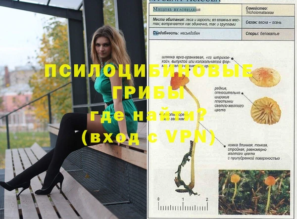 мдпв Карпинск