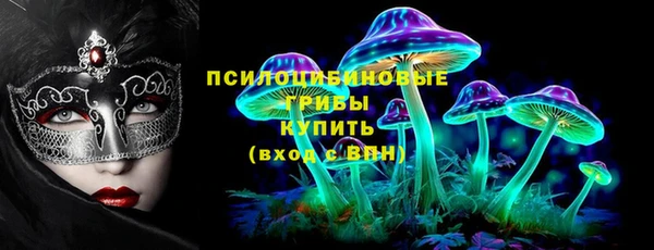 сатива Касимов