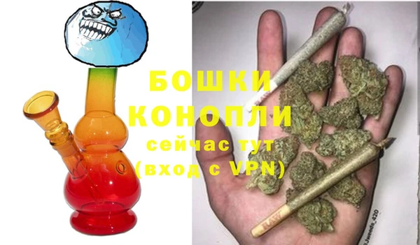 сатива Касимов