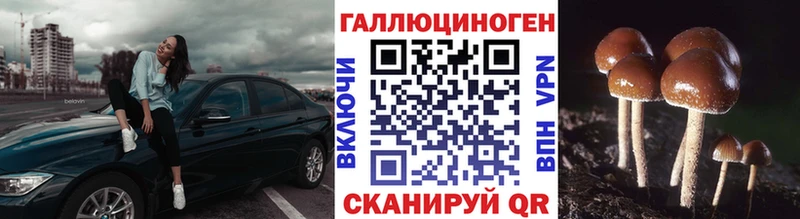 Псилоцибиновые грибы ЛСД  Купить закладки  Дегтярск 